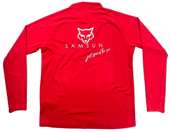 Pull Manches Longues Nike Rouge TSV HAVELSE 1912