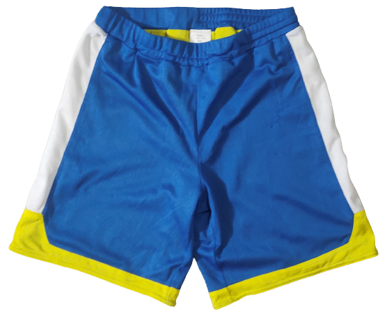 Short Bleu