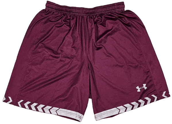 Short Under Armour Aubergine