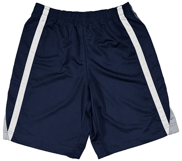 Short Nike Bleu et Gris