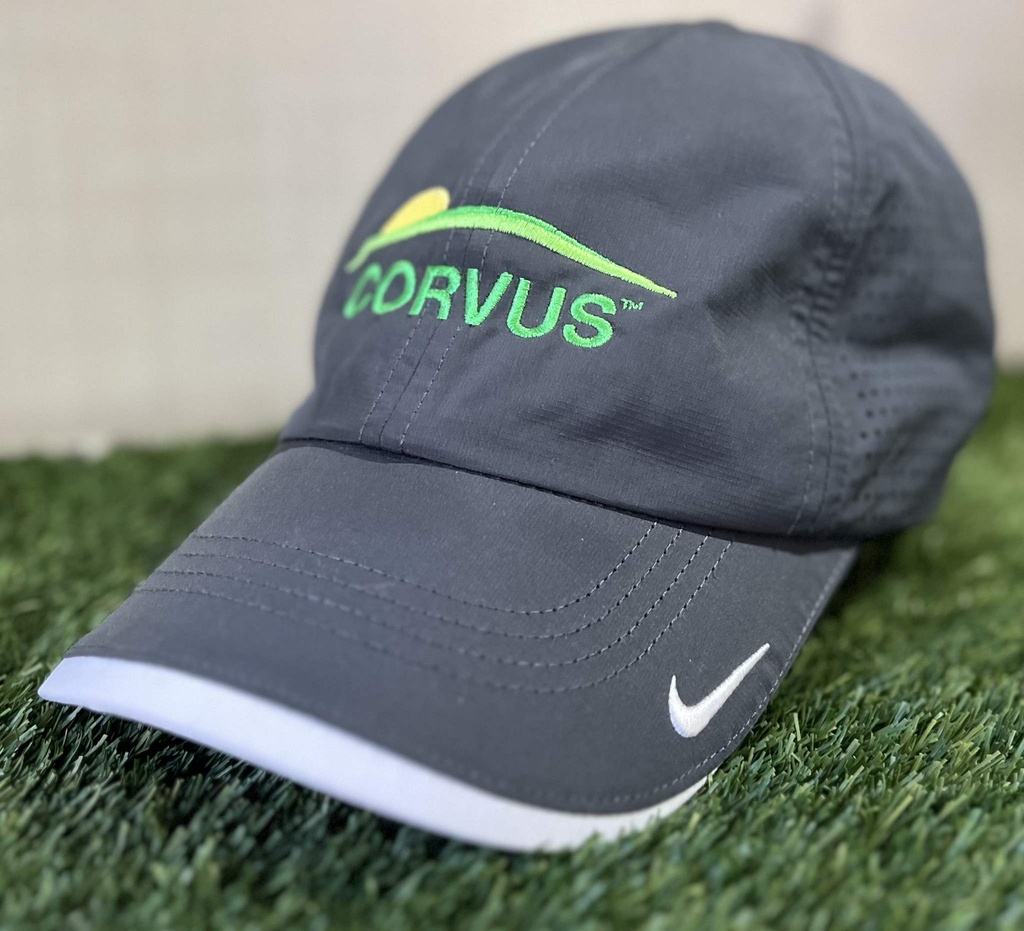 Casquette Nike Grise Corvus Ajustable