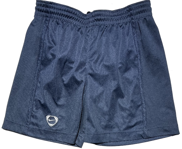 Short Nike Bleu Marine
